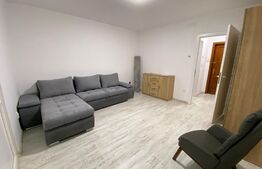 Garsoniera renovata complet, 28 mp, zona Detunata