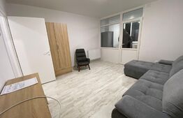 Garsoniera renovata complet, 28 mp, zona Detunata