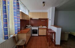 Oportunitate! Apartament cu 1 camera, 30mp, etaj intermediar, zona Parang