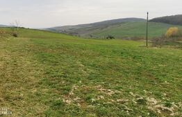 Casa individuala 1 camera, 51 mp, 3000 mp teren, Geaca