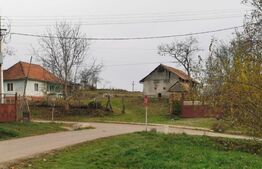 Casa individuala 1 camera, 51 mp, 3000 mp teren, Geaca