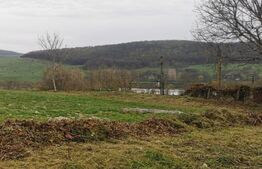 Casa individuala 1 camera, 51 mp, 3000 mp teren, Geaca