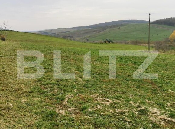 Casa de vânzare 1 camera Exterior Est - 131588CV | BLITZ Cluj-Napoca | Poza4