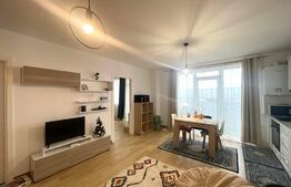 Apartament 2 camere, pet friendly, parcare, zona străzii Răzoare 