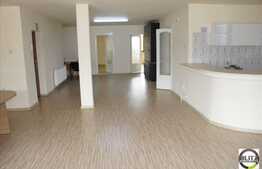 Inchiriere apartament cu 3 camere, 120 mp, zona strazii Traian