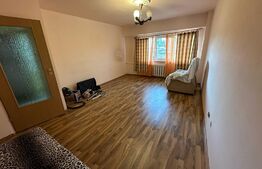 Apartament 1 camera, 41 mp, zona Big Belly 