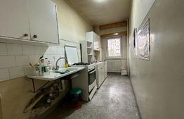 Apartament 1 camera, 41 mp, zona Big Belly 