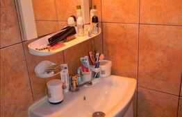 Garsoniera 27 mp, parcare, mezanin, curte comuna situata Ultracentral