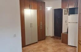 Apartament 1 camera, 50mp, spatios, zona Valea Garboului 