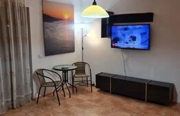 Apartament 1 camera, 50mp, spatios, zona Valea Garboului 