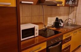 Apartament 1 camera, 50mp, spatios, zona Valea Garboului 