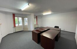 Casa individuala, 12 camere, 600 mp utili, pod și demisol, 1000 mp teren, zona Andrei Muresanu