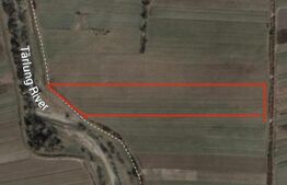 Teren extravilan intabulat 7100 mp între Stupinii Prejmerului și Dobârlău