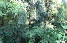 2 camere, 75 mp, terasa, parcare, zona strazii Constantin Brancusi