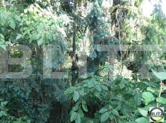 Apartament de vânzare 2 camere Andrei Mureşanu - 13189AV | BLITZ Cluj-Napoca | Poza6