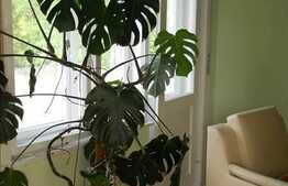 Apartament ideal pentru investitie in Centrul Clujului!