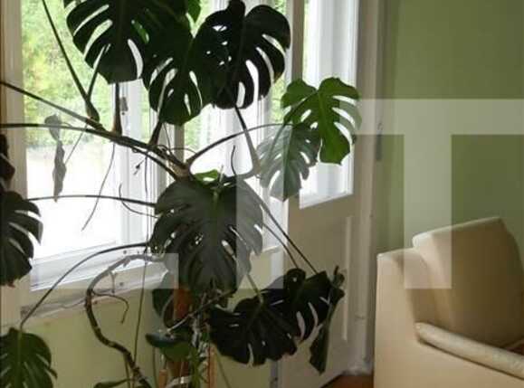 Garsonieră de vânzare Central - 1319AV | BLITZ Cluj-Napoca | Poza4