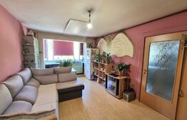 Apartament 3 camere, 50mp, etaj intermediar, zona Profi