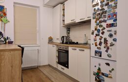 Garsoniera spațioasă, 47mp, zona Tractorul