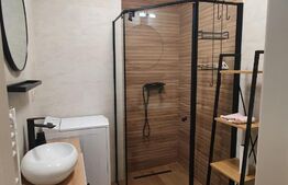 Garsoniera, 30 mp, zona Centrala