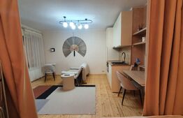 Garsoniera, 30 mp, zona Centrala