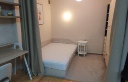 Garsoniera, 30 mp, zona Centrala