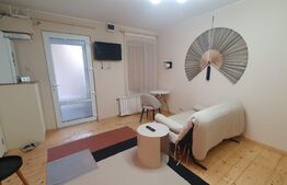 Garsoniera, 30 mp, zona Centrala