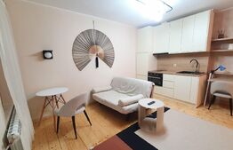 Garsoniera, 30 mp, zona Centrala