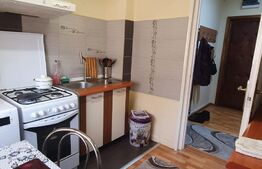 Apartament 2 camere, 52 mp, zona Piata Flora