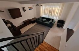 Duplex renovat cu 4 camere, 108 mp utili, garaj, 120 mp de teren, zona Tauti