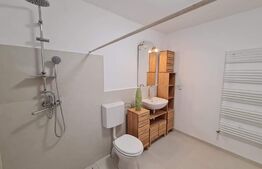 Duplex renovat cu 4 camere, 108 mp utili, garaj, 120 mp de teren, zona Tauti