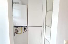 Duplex renovat cu 4 camere, 108 mp utili, garaj, 120 mp de teren, zona Tauti