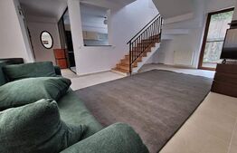 Duplex renovat cu 4 camere, 108 mp utili, garaj, 120 mp de teren, zona Tauti