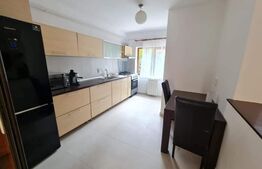 Duplex renovat cu 4 camere, 108 mp utili, garaj, 120 mp de teren, zona Tauti