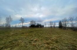 Exclusivitate! Casa 5 camere, terenuri 9800 mp si 8200 mp - padure, Risca