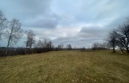 Exclusivitate! Casa 5 camere, terenuri 9800 mp si 8200 mp - padure, Risca