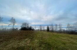 Exclusivitate! Casa 5 camere, terenuri 9800 mp si 8200 mp - padure, Risca