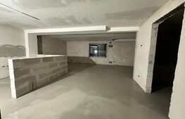 Exclusivitate! Casa 5 camere, terenuri 9800 mp si 8200 mp - padure, Risca