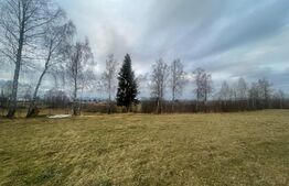 Exclusivitate! Casa 5 camere, terenuri 9800 mp si 8200 mp - padure, Risca