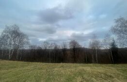 Exclusivitate! Casa 5 camere, terenuri 9800 mp si 8200 mp - padure, Risca