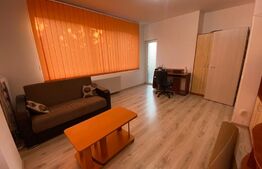 1 camera, 40 mp, imobil nou, parcare, zona Corneliu Coposu