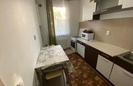 1 camera, 40 mp, imobil nou, parcare, zona Corneliu Coposu