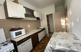 1 camera, 40 mp, imobil nou, parcare, zona Corneliu Coposu