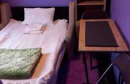 Garsoniera, 12mp, renovata proaspat, Gruia 