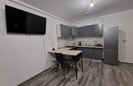 Apartament tip Studio, 43mp utili+30mp gradina, zona Sanpetru