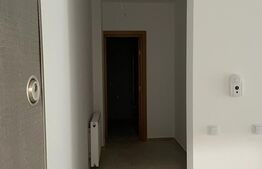 Studio Nicolae Labis