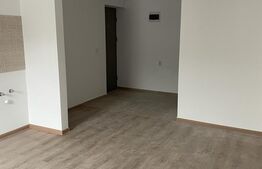 Studio Nicolae Labis