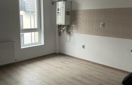 Studio Nicolae Labis