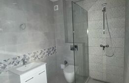 Studio Nicolae Labis