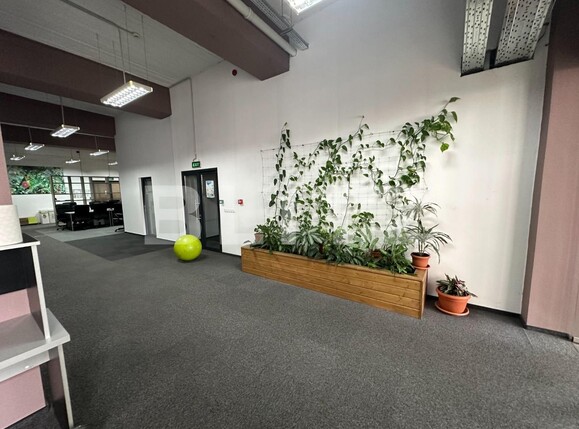 Spațiu birouri de închiriat Central - 132233SIB | BLITZ Cluj-Napoca | Poza5